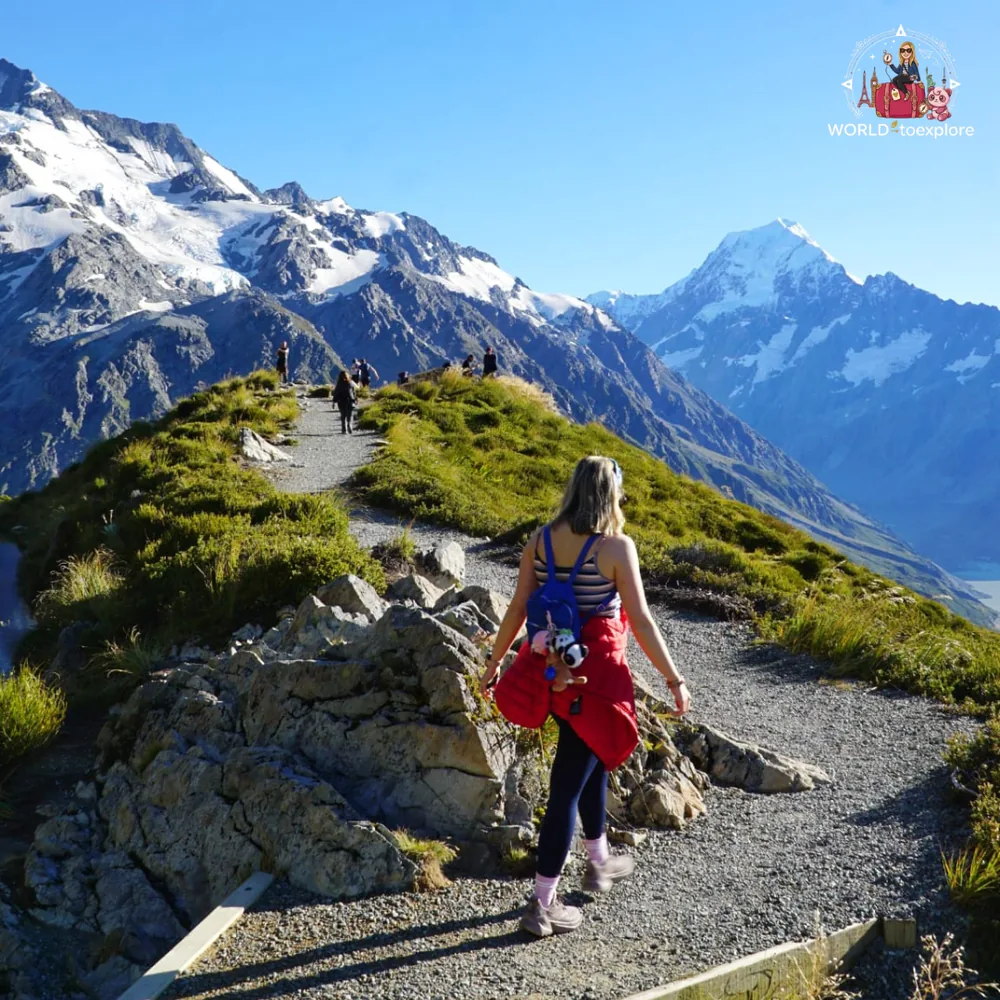 View of Mount Cook from the Sealy Tarns Track