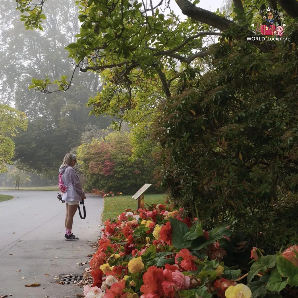 In the Christchurch Botanic Gardens