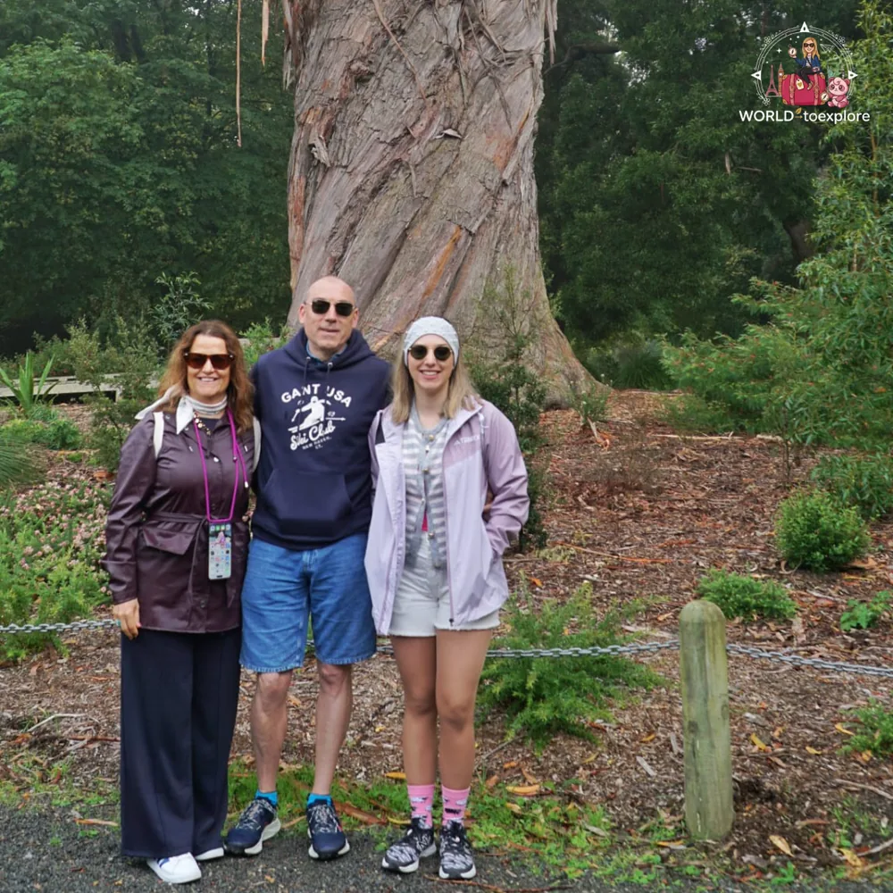 By a giant tree in the Christchurch Botanic Gardens