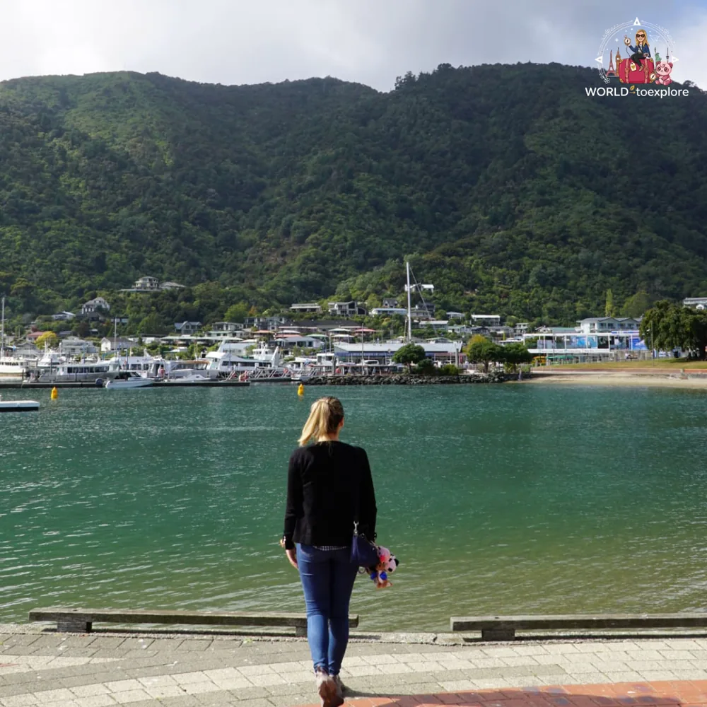 Picton harbour