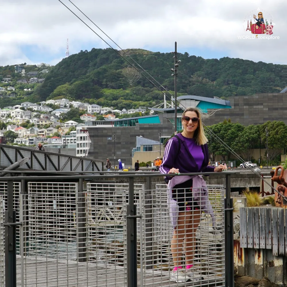 View over Wellington from the top of the Cable Car