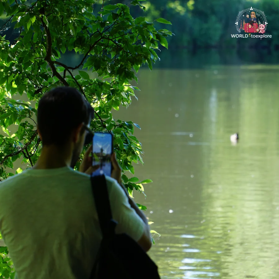 Man photographing the lake with his phone, among the foliage of the trees