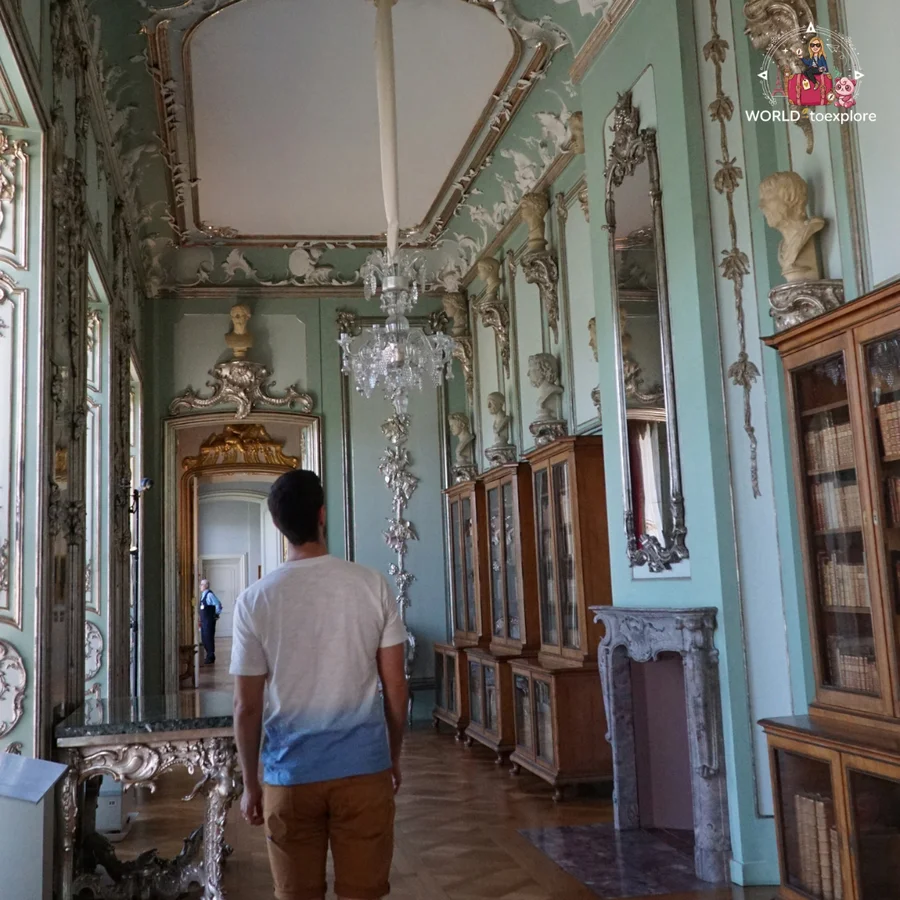 Man seen from behind in an aqua-green gallery with bookcases and a crystal chandelier