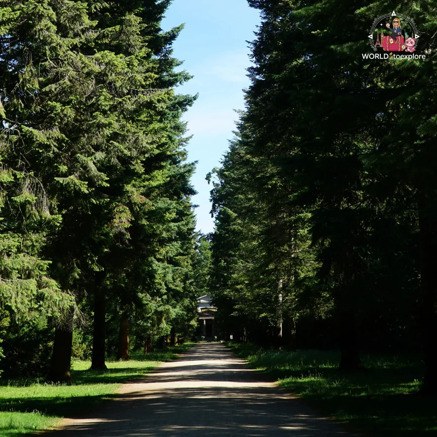 Gravel path in the Charlottenburg gardens lined with tall firs, with the Mausoleum in the background