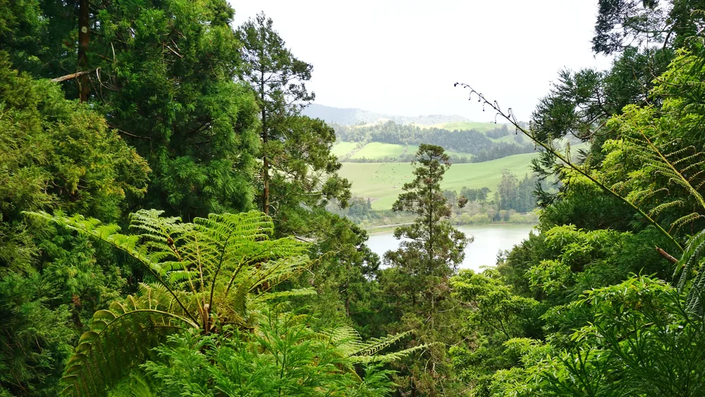 Parque Grená Azores Açores São Miguel Furnas Povoação Viagem