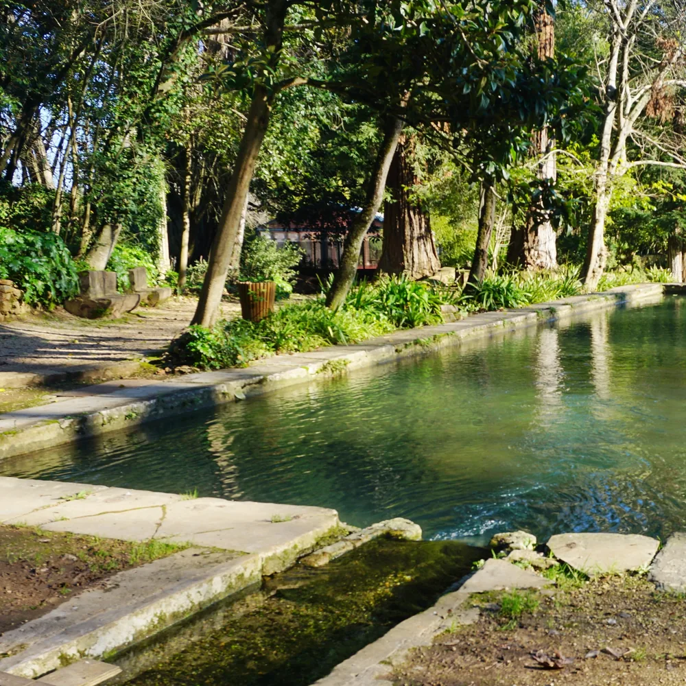Quinta das Lágrimas