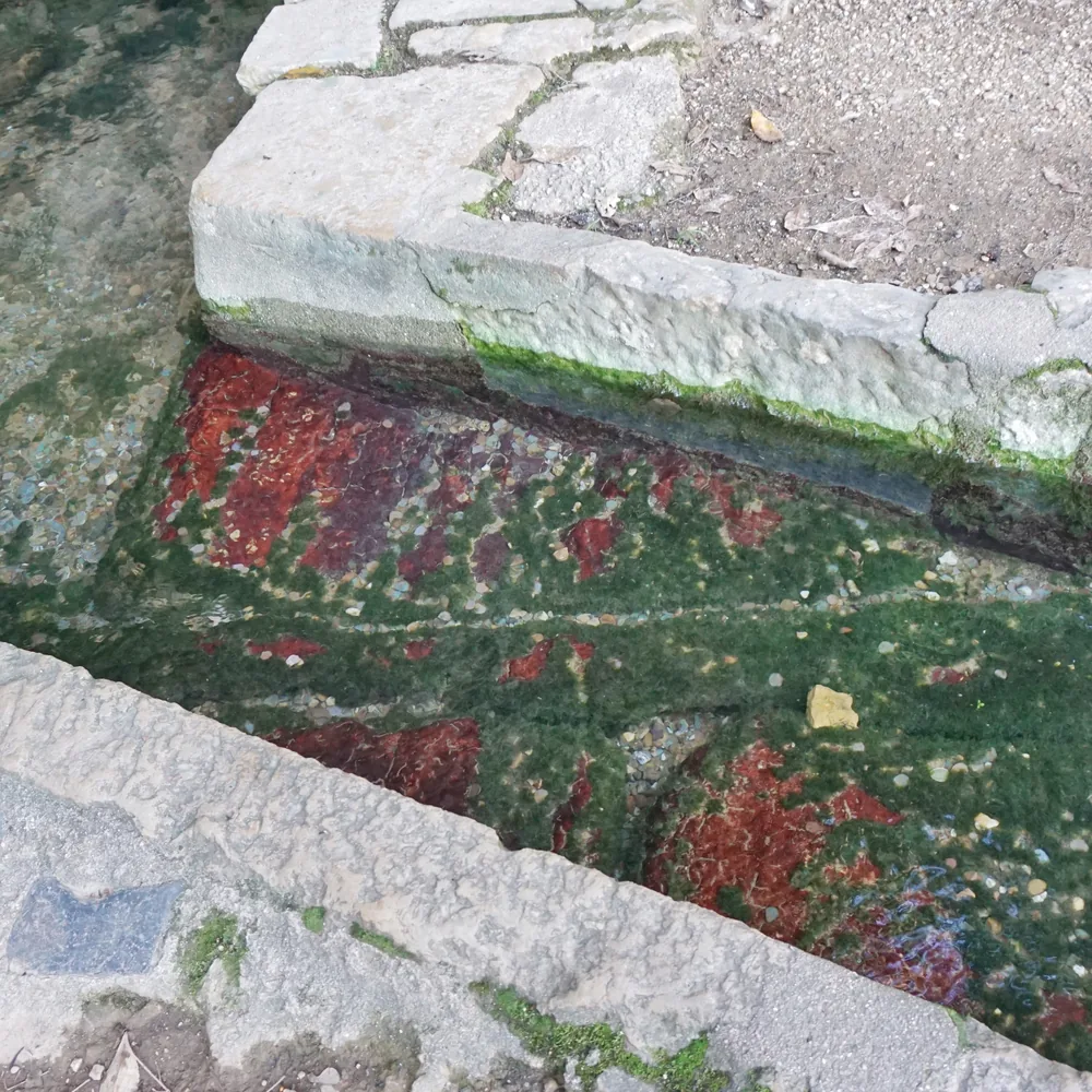 Quinta das Lágrimas