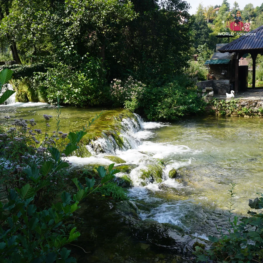 Low cascades of the Slunjčica river in Rastoke, with flowering plants in the foreground and a wooden shelter on the bank