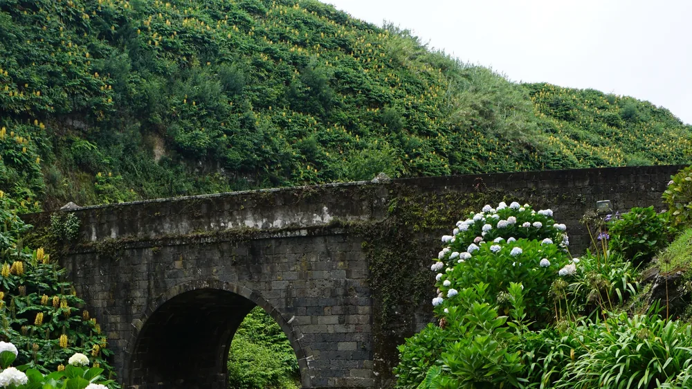 Parque Natural da Ribeira dos Caldeirões Nordeste São Miguel Açores Portugal Viagem