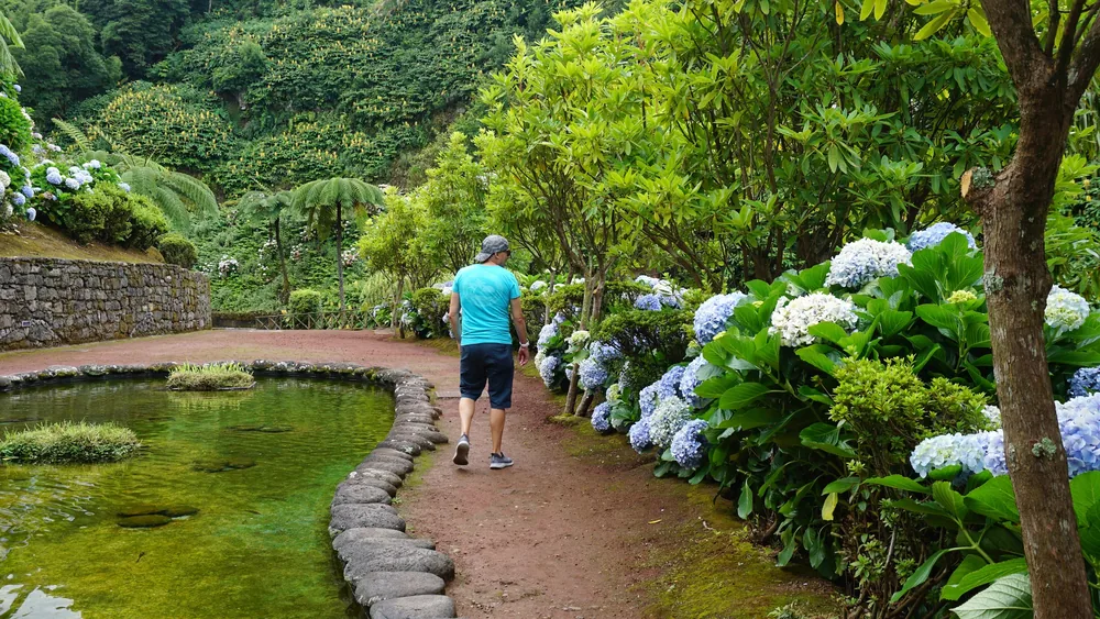 Parque Natural da Ribeira dos Caldeirões Nordeste São Miguel Açores Portugal Viagem