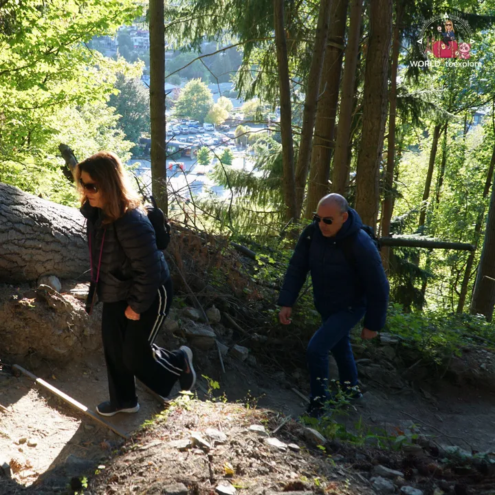 A group walking down a dirt path on the Tiki Trail surrounded by tall trees, with the car park visible in the background