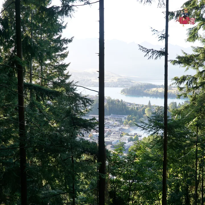 View over Queenstown and Lake Wakatipu framed between the tree trunks along the Tiki Trail