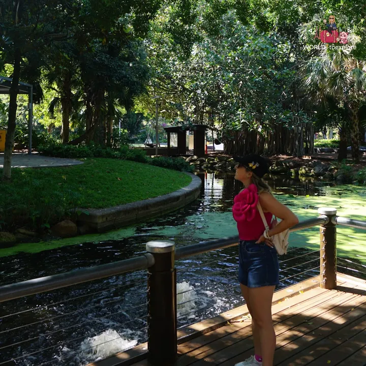 By the lake in the South Bank Parklands, on a boardwalk over the water, with grass and tropical vegetation around
