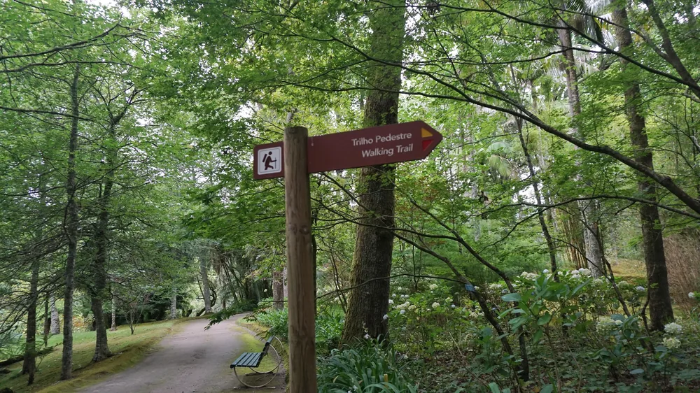 Parque Terra Nostra São Miguel Açores Portugal Viagem