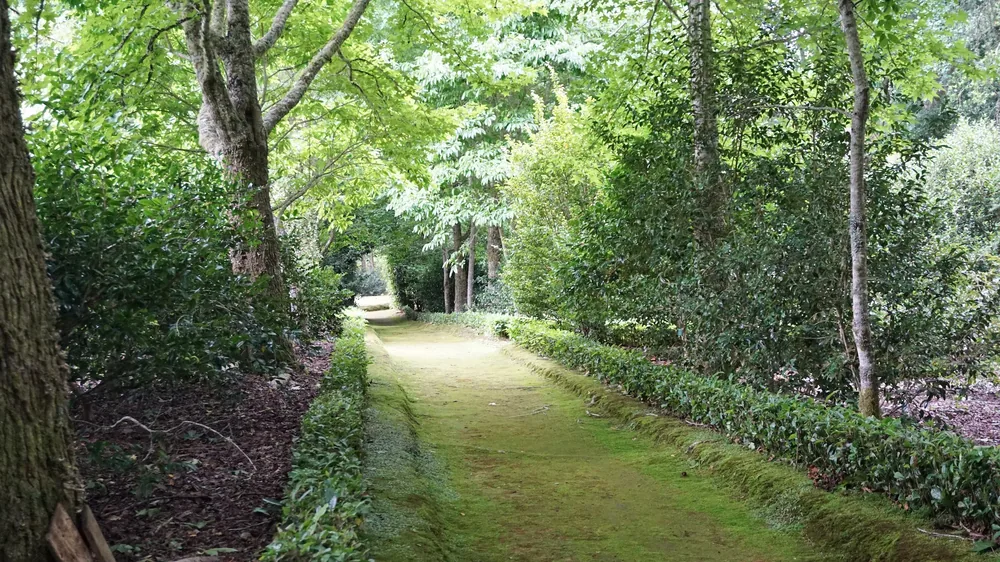 Parque Terra Nostra São Miguel Açores Portugal Viagem