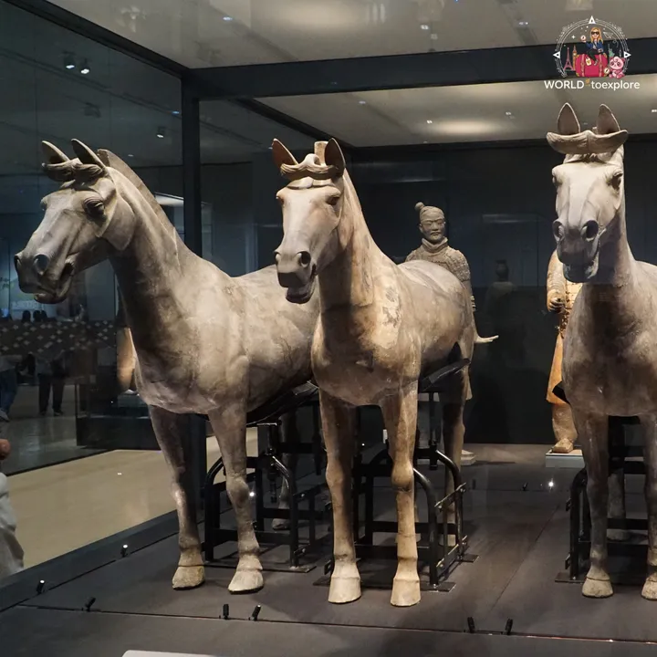 Terracotta horses and warriors on display at the museum, in Xi'an