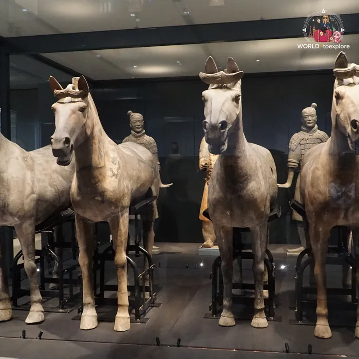 Terracotta cavalry horses on display in a case at the Terracotta Army museum